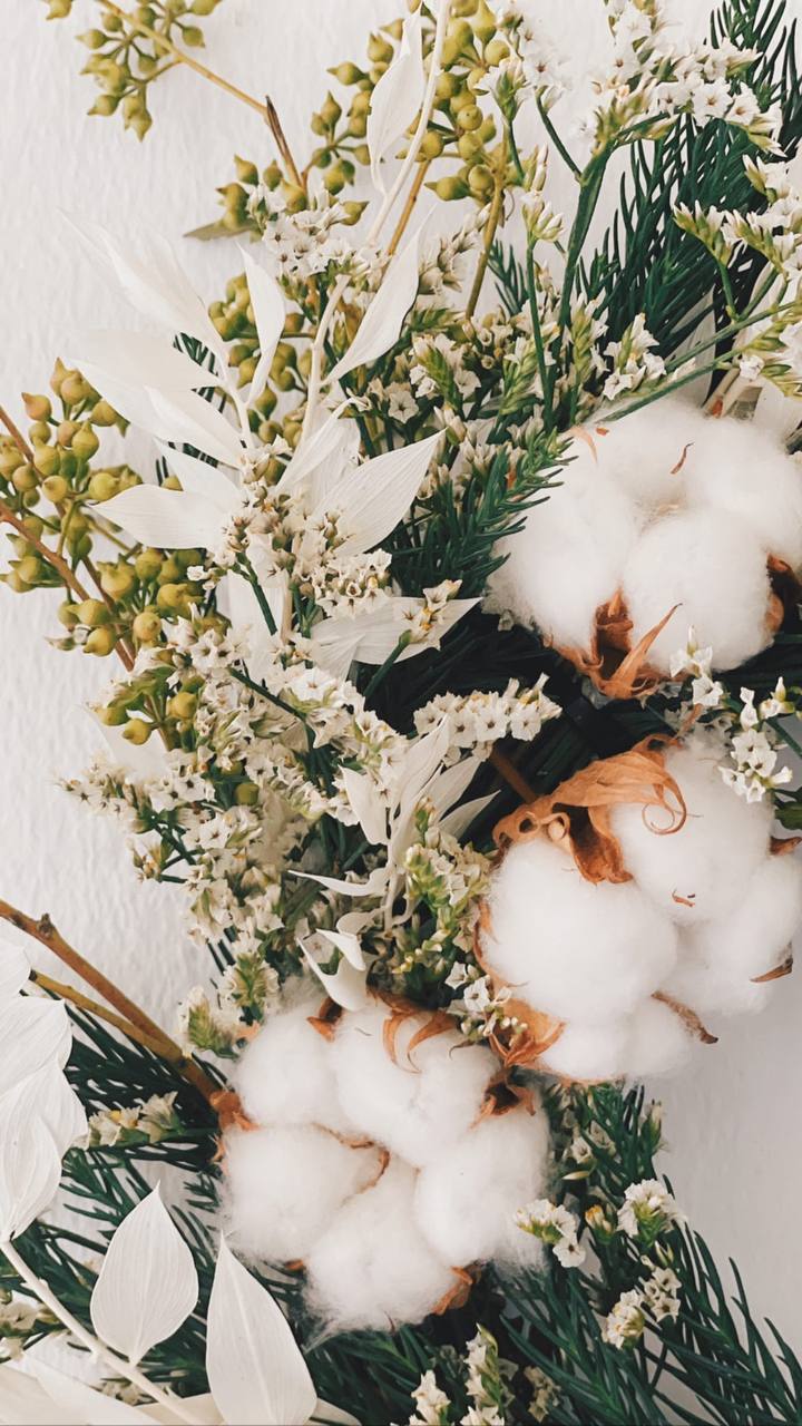 Classic Preserved Christmas Wreath