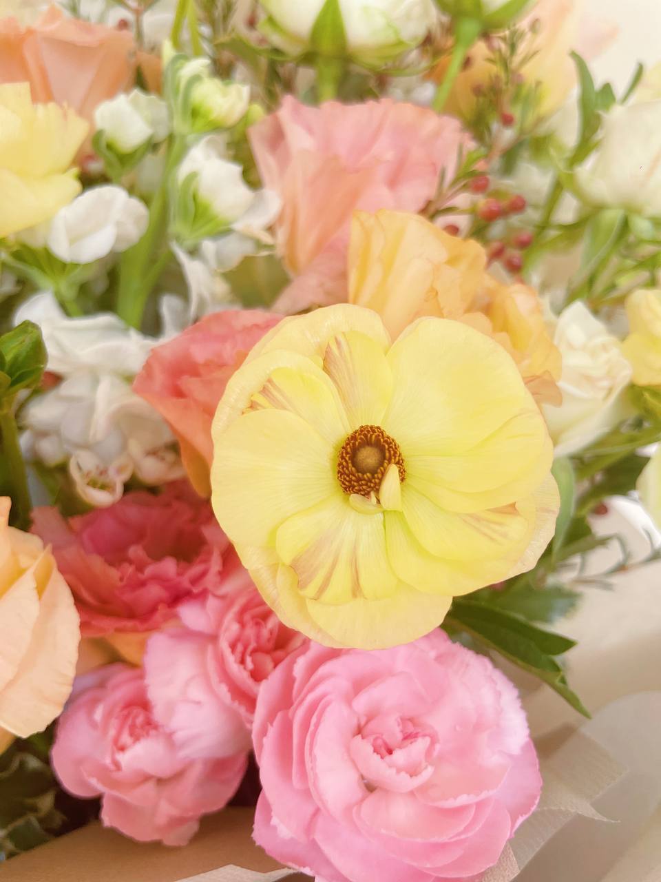 Weekly Specials (9th-15th June)