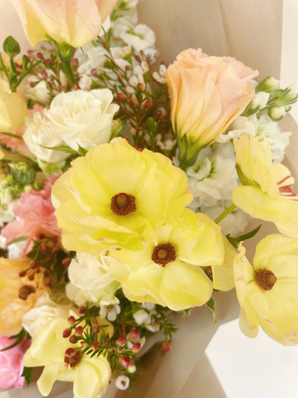 Weekly Specials (9th-15th June)